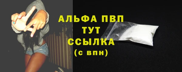 амф Бородино