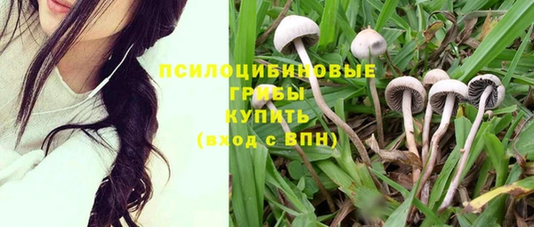 амф Бородино