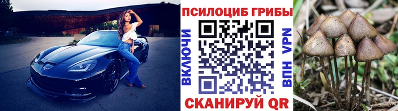 Галлюциногенные грибы мицелий Касимов